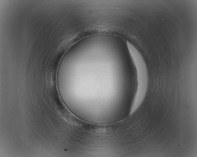 X0000080790740200701122147