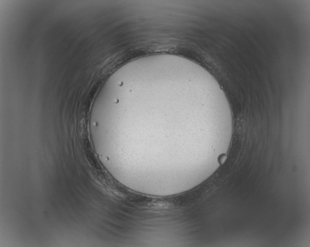 X0000080790741200701122147