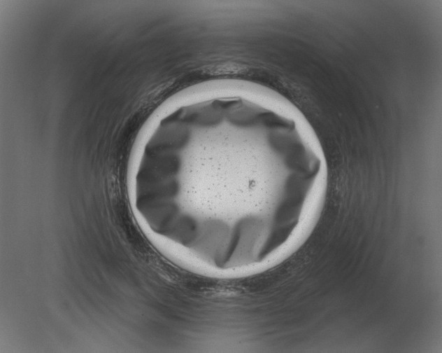 X0000080790743200701122147