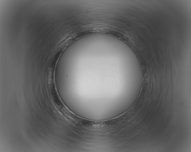 X0000080790744200701122147