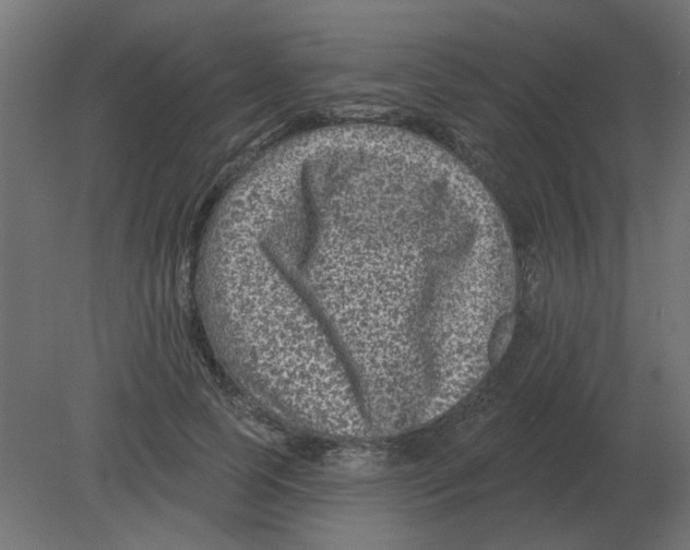 X0000080790745200701122147