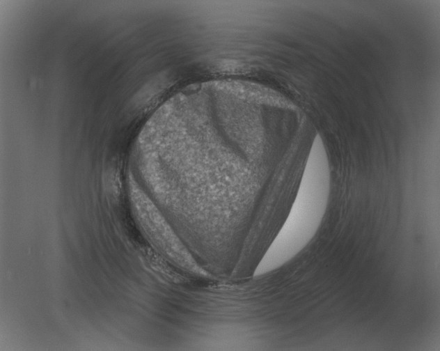 X0000080790746200701122147