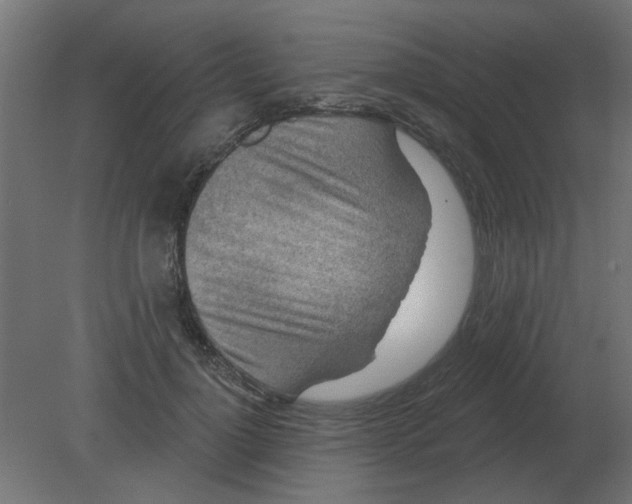 X0000080790748200701122147