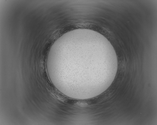 X0000080790749200701122147