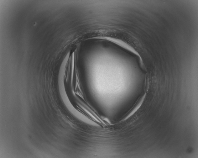 X0000080790750200701122147