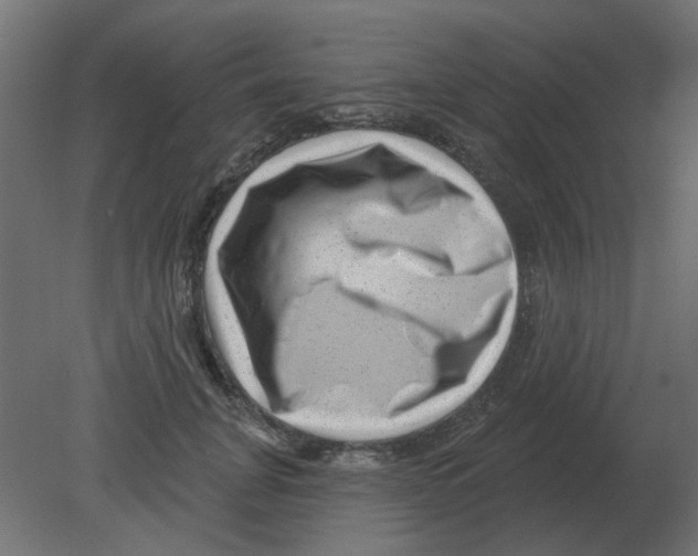 X0000080790751200701122147