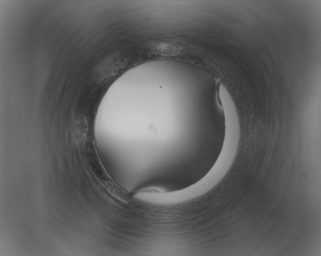 X0000080790752200701122147