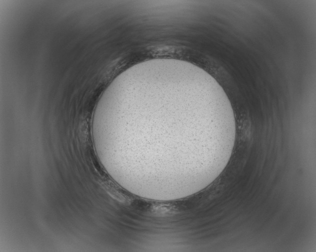 X0000080790753200701122147