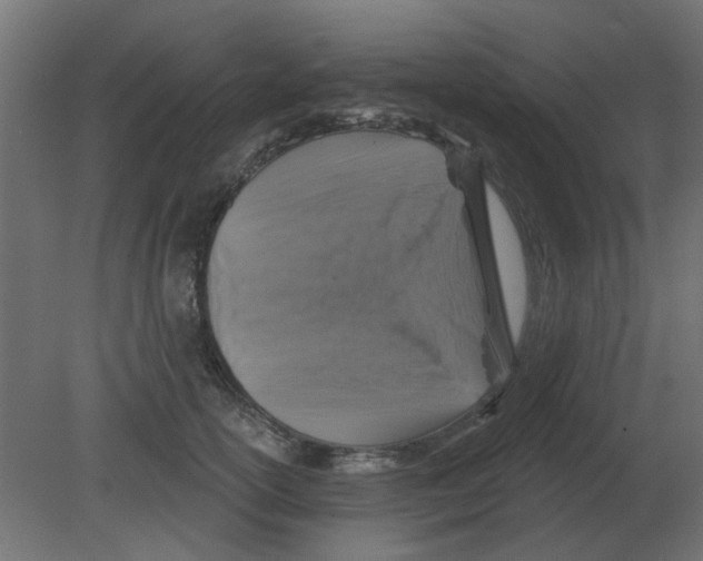 X0000080790754200701122147