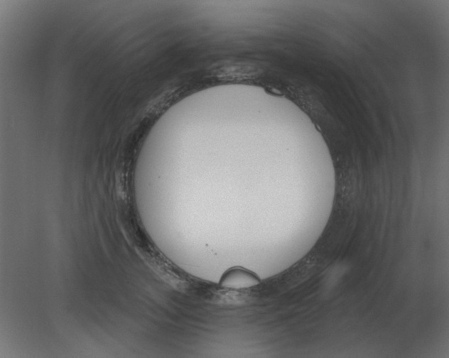 X0000080790755200701122147