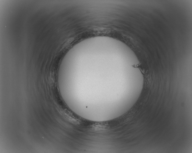 X0000080790756200701122147