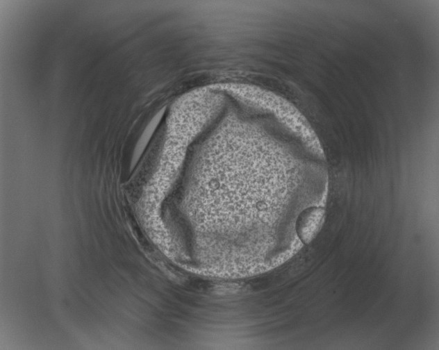 X0000080790757200701122147