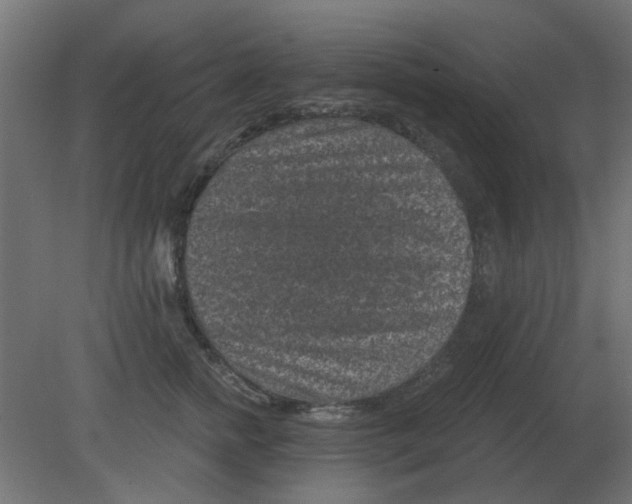 X0000080790758200701122147