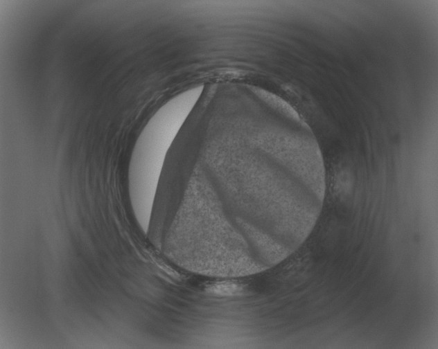 X0000080790759200701122147