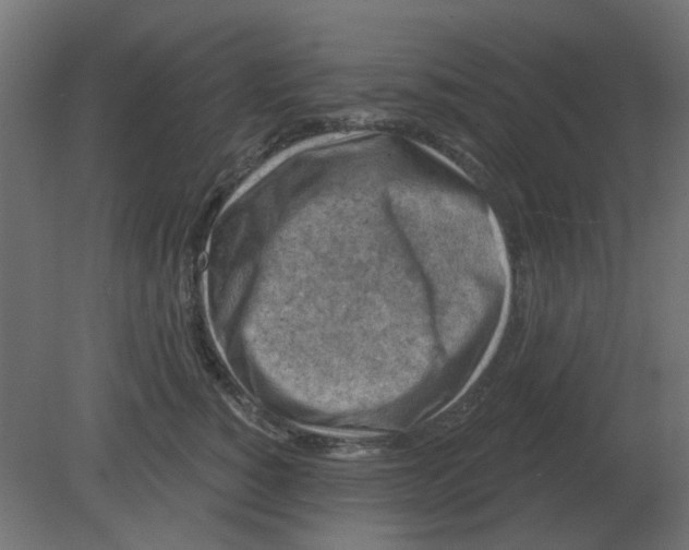 X0000080790760200701122147