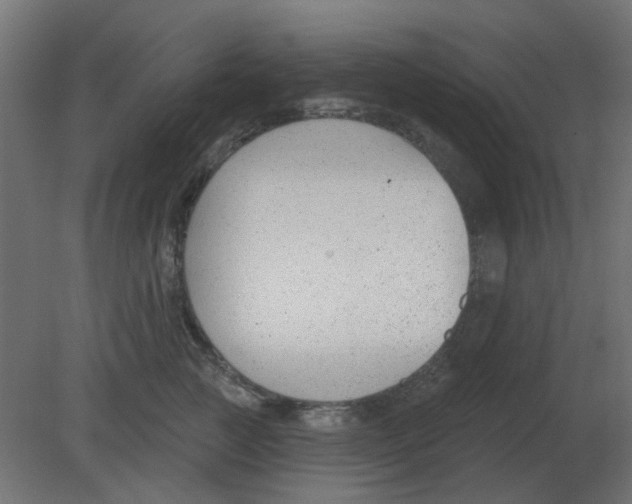 X0000080790761200701122147