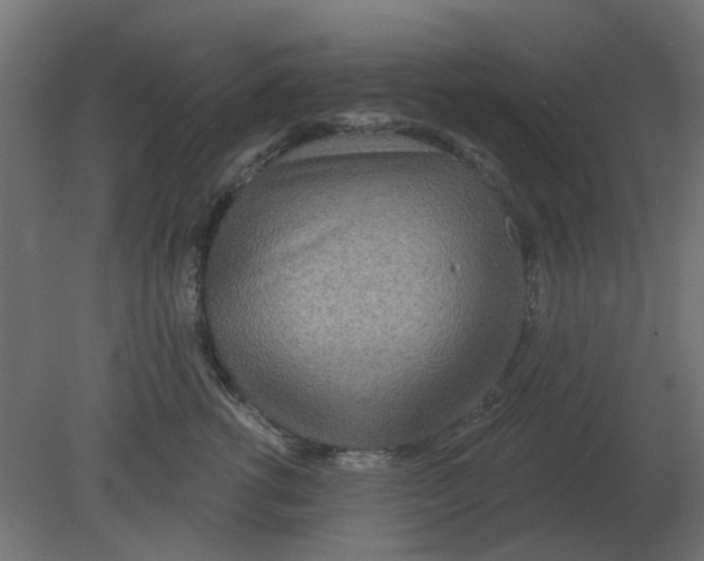 X0000080790762200701122147