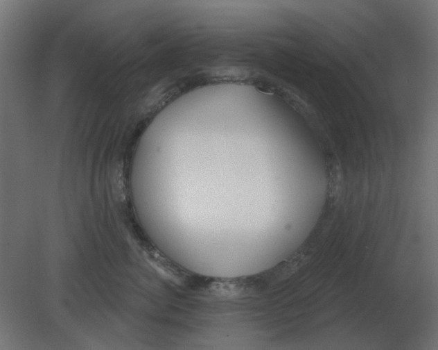 X0000080790764200701122147