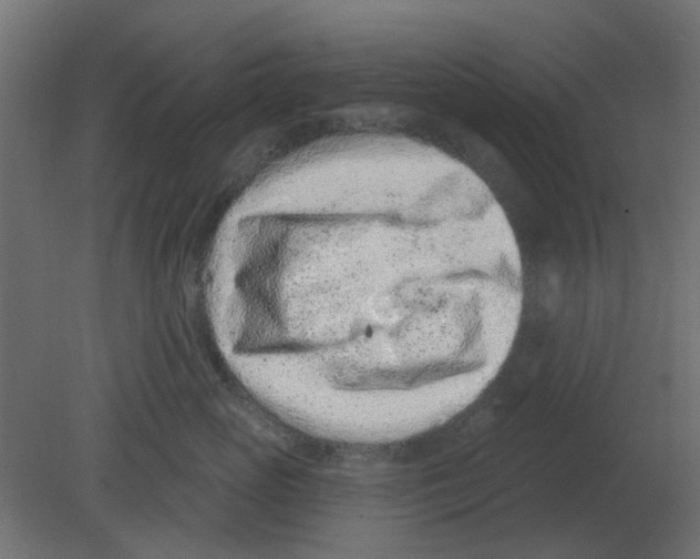 X0000080790765200701122147