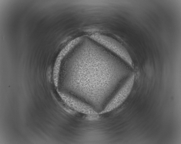 X0000080790767200701122147