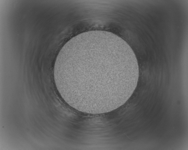 X0000080790769200701122147