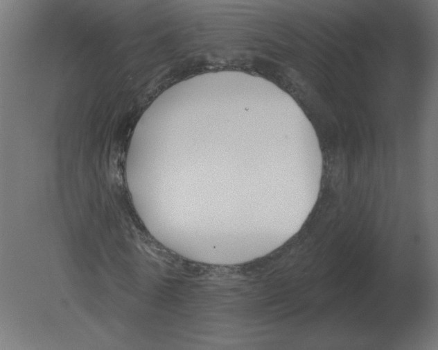 X0000080790770200701122147