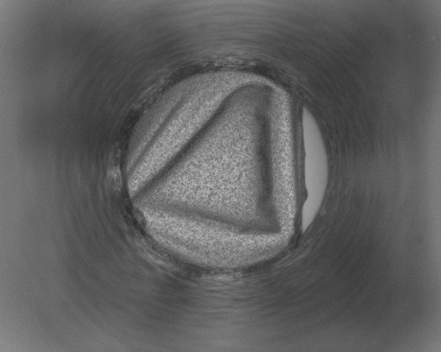 X0000080790771200701122147