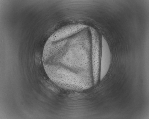 X0000080790772200701122147