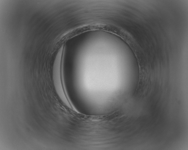 X0000080790773200701122147