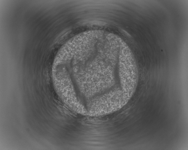 X0000080790774200701122147