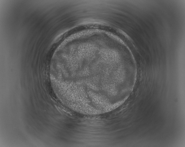 X0000080790775200701122147