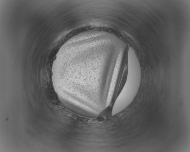 X0000080790776200701122147