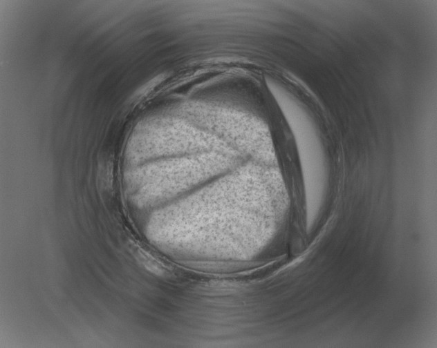 X0000080790777200701122147