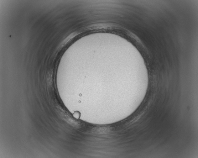 X0000080790778200701122147