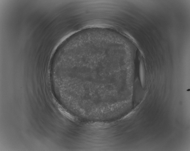 X0000080790779200701122147