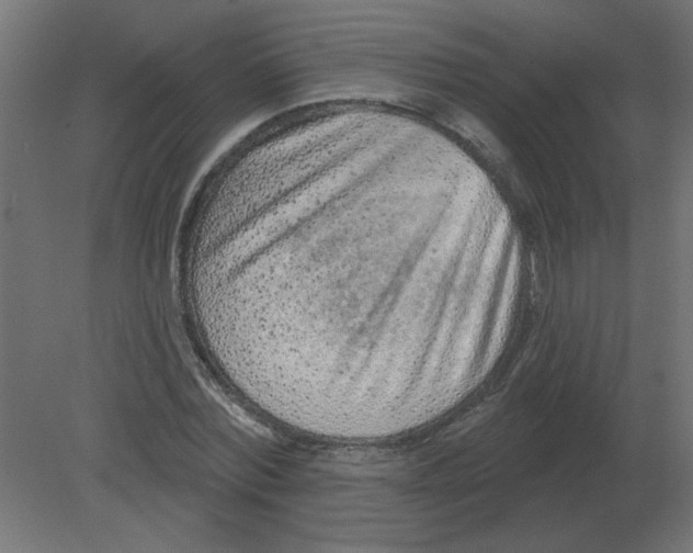 X0000080790780200701122147