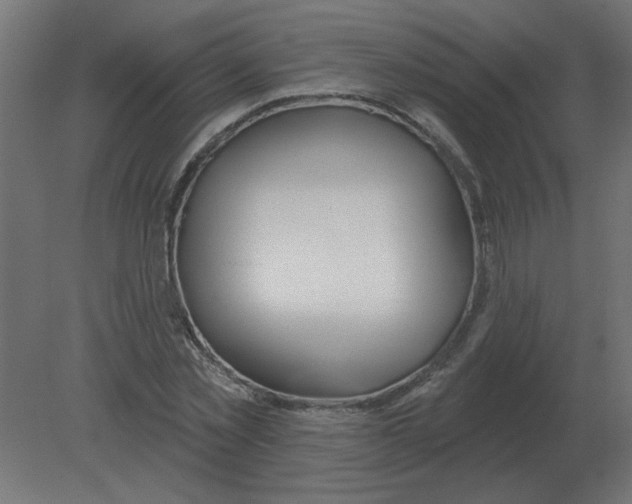 X0000080790781200701122146