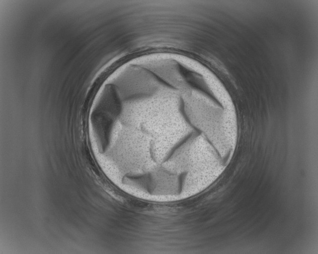 X0000080790782200701122146