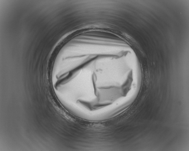 X0000080790784200701122146