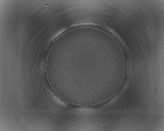 X0000080790785200701122146