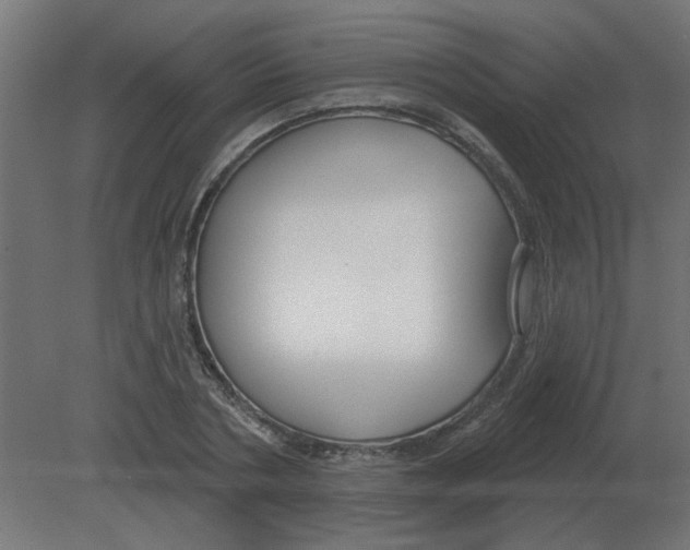 X0000080790786200701122146