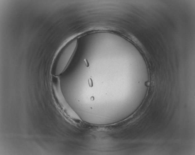 X0000080790787200701122146