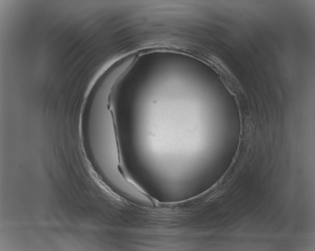 X0000080790788200701122146