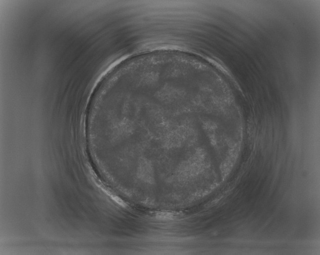 X0000080790790200701122146