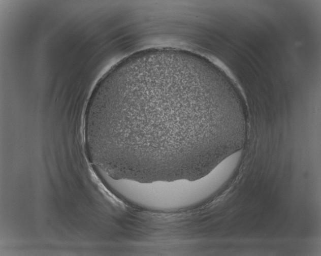 X0000080790791200701122146