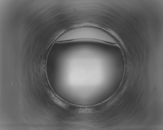 X0000080790793200701122146