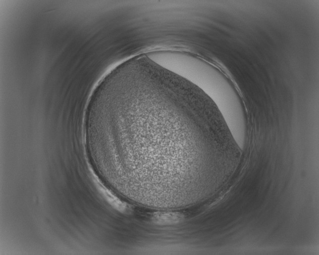 X0000080790795200701122146