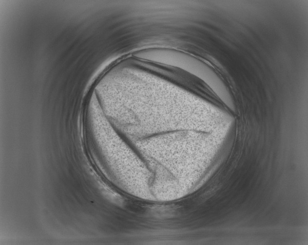 X0000080790796200701122146