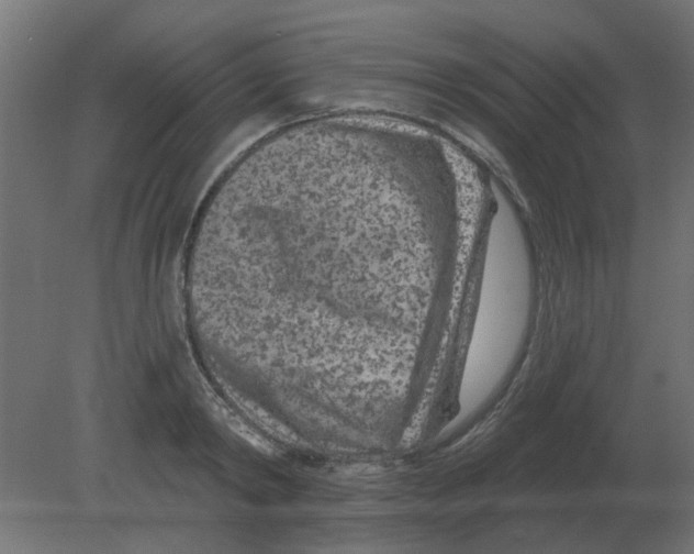 X0000080790798200701122146