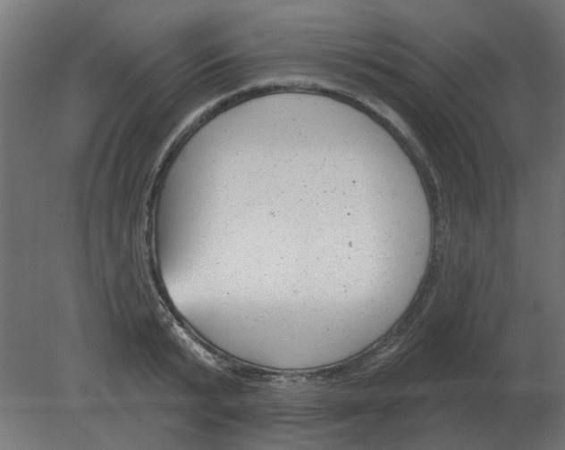 X0000080790799200701122146